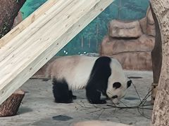 -南宁市动物园