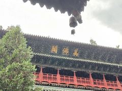 -报恩寺(平武县)