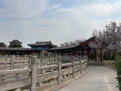 -百脉泉景区