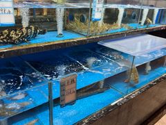 -张家卫·阳江菜·小海鲜(肥婆湾桥店)