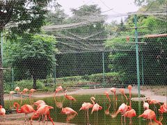 -石家庄市动物园