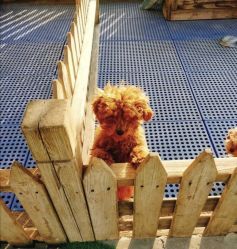 -萌宠亲子动物乐园(槐房万达店)