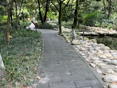 -成都市活水公园