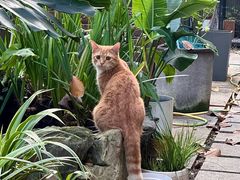 -谷咖啡·鲜花绿植花园餐厅