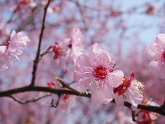 -白塘生态植物园