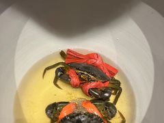 -鸽子张·家宴(黄辛庄旗舰店)