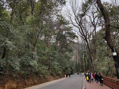 -岳麓山风景名胜区