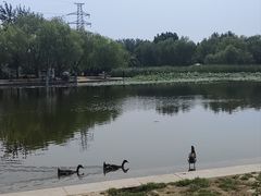 -太阳宫公园