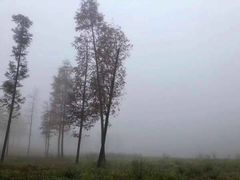 -西岭雪山大飞水景区