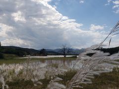 -元谋土林景区(物茂土林)