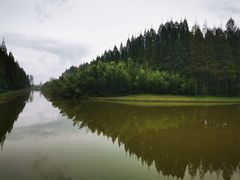 -黄海国家森林公园