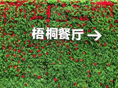 门面-梧桐餐厅(泉城路店)