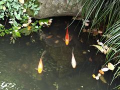 -胡雪岩故居