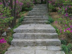 -广州市石门国家森林公园