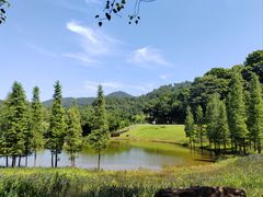 -国恩寺