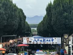 -特克斯八卦城
