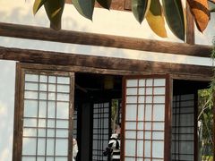 -厦门园林博览苑