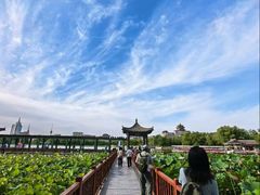 -莲花池公园