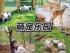 -上海山野camping·户外天幕烧烤·团建拓展营地