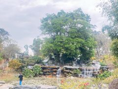 -东莞植物园
