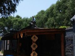 android_upload_pic-白洋淀景区