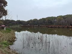 -凤凰沟景区