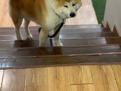 -YCHL Studios健身工作室(市二宫店)