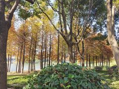 -尚贤河湿地