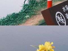 -洋湖国家湿地公园