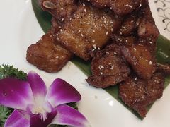 澳洲烤排-乾隆美食·本帮菜(黄河路店)