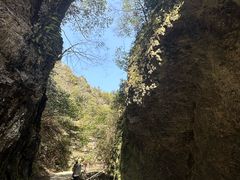 -夏霖九天银瀑风景区