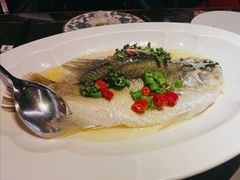 -海派悦庭·海胆烧麦·新融合菜(凯德广场店)