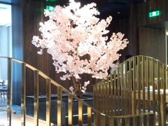-提香日本料理