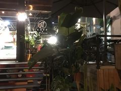 -771餐吧·咖啡·西餐·烤肉(金湖广场店)