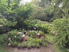 -共青国家森林公园-售票处