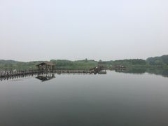 -溱湖国家湿地公园