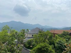 -杭州桐庐康莱德酒店西餐厅-舍