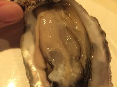 -澳门旅游塔360°旋转餐厅(南湾湖广场店)