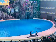 -珠海长隆海洋王国