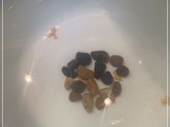 -皇家冰窖小院(什刹海店)