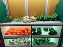 -meland亲子乐园(深圳领展中心城店)