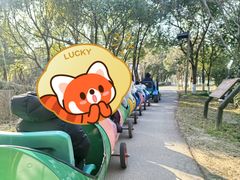 -乌村
