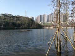 -重庆彩云湖湿地公园