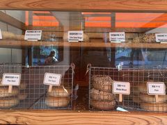 面包甜点陈列柜-Catch Bagel(芳草地店)