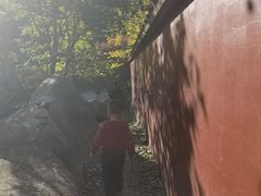 -遵化市禅林寺古银杏风景园