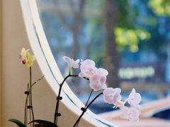 -伊斯坦布尔土耳其清真咖啡餐厅