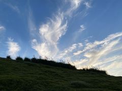 -小麦岛公园