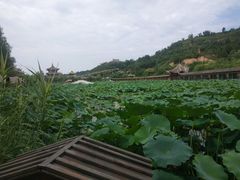 -渭南桃花源民俗文化园