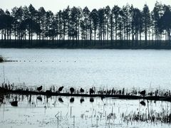 -贡湖湾湿地公园