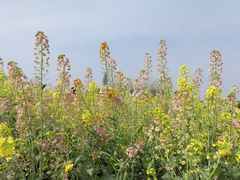 -中国天府农业博览园